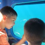 viber_slika_2024-09-11_09-32-07-356