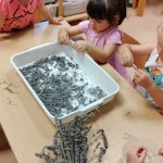 viber_slika_2024-09-17_14-48-48-101